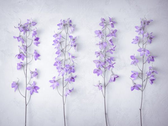 PHOTOWALL / Delphiniums Flowers (e333955)