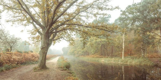 PHOTOWALL / Canal on an Autumn Day (e333959)