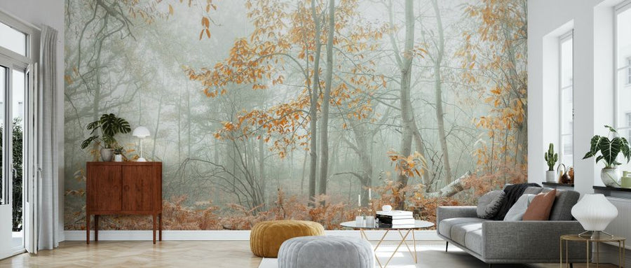 PHOTOWALL / Autumn Trees in the Mist (e333960)