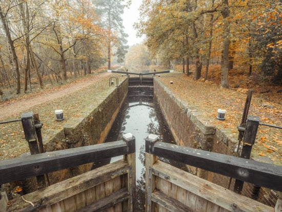 PHOTOWALL / Canal through Forest IV (e333967)