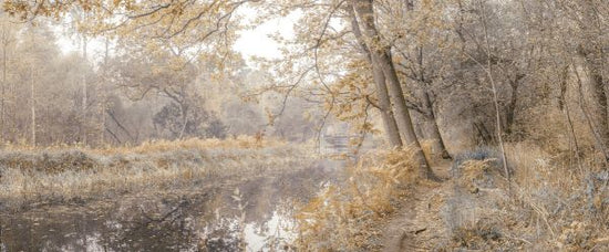 PHOTOWALL / Canal through Forest V (e333968)