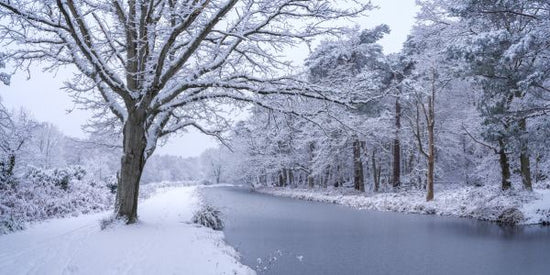 PHOTOWALL / Canal on a Snowy Day (e333985)