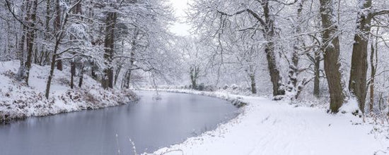 PHOTOWALL / Canal Through Forest (e333987)