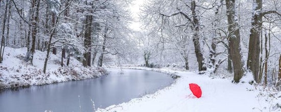 PHOTOWALL / Umbrella by a Snowy Canal (e333988)