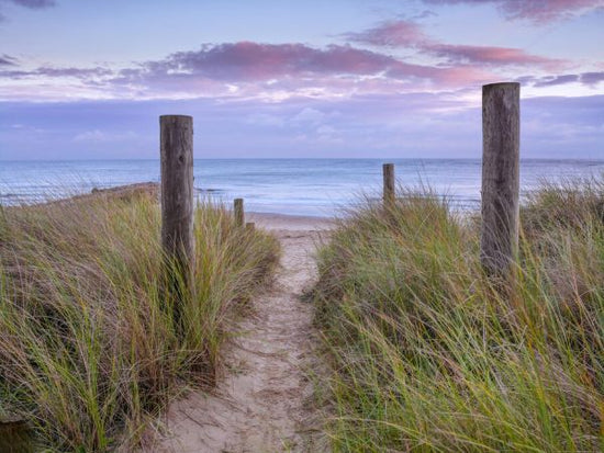 PHOTOWALL / Pathway to the Sea Shore (e334028)