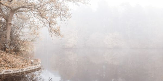 PHOTOWALL / Autumn Canal II (e334067)