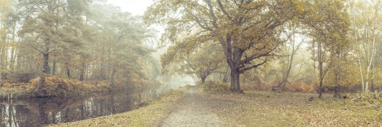 PHOTOWALL / Misty Canal Autumn (e334072)