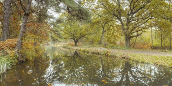 PHOTOWALL / Canal at Autumn (e334076)