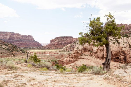 PHOTOWALL / Arizona Canyon (e334156)