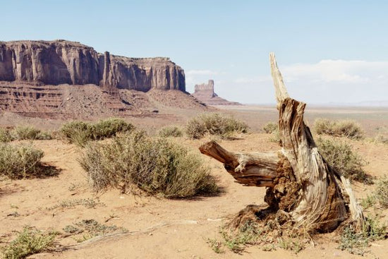 PHOTOWALL / Monument Valley IV (e334173)