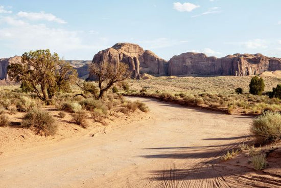 PHOTOWALL / Utah Desert Path (e334278)