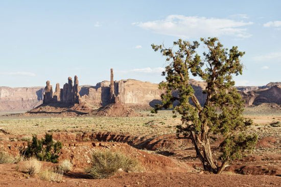 PHOTOWALL / Monument Valley Tribal Park V (e334295)