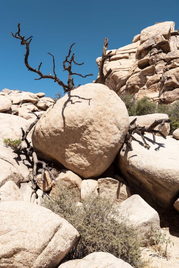 PHOTOWALL / Boulders Nature (e334366)