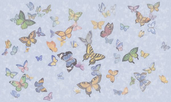 PHOTOWALL / Butterfly Wings - Blue (e335212)