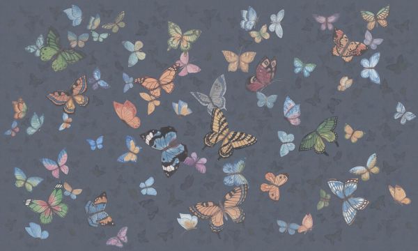 PHOTOWALL / Butterfly Wings - Dark Blue (e335213)