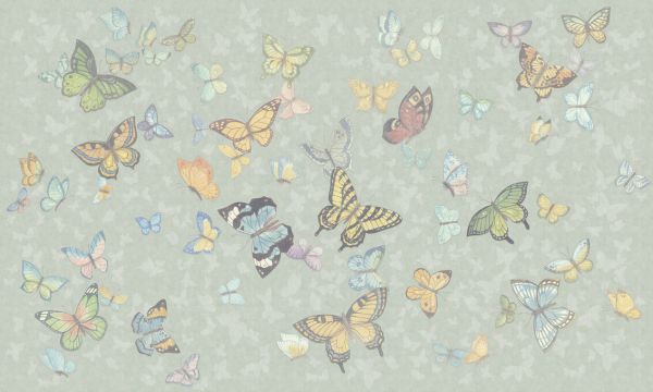 PHOTOWALL / Butterfly Wings - Green (e335214)