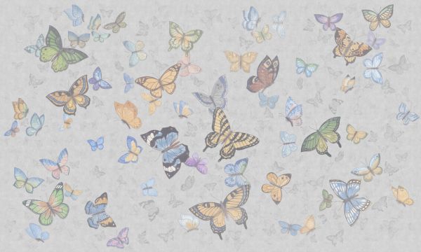 PHOTOWALL / Butterfly Wings - Grey (e335215)