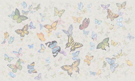 PHOTOWALL / Butterfly Wings - Light (e335216)
