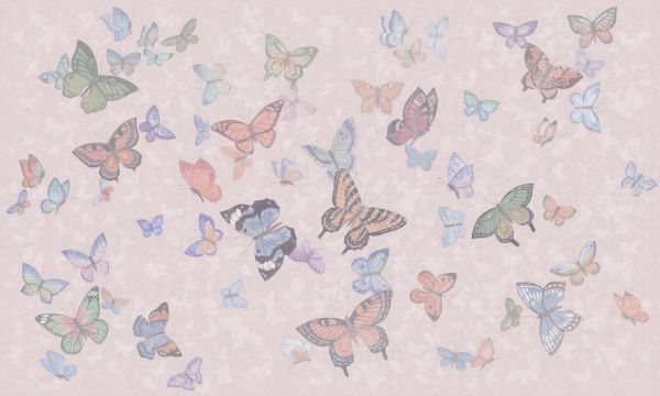 PHOTOWALL / Butterfly Wings - Pink (e335217)