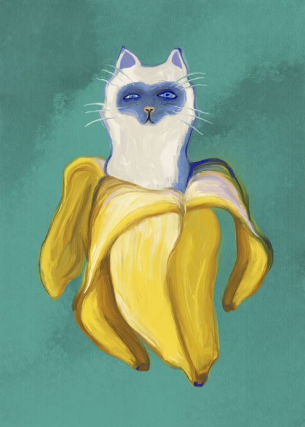 PHOTOWALL / Banana Cat (e335548) | 輸入壁紙専門店 WALPA – WALPA.jp