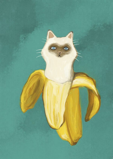 PHOTOWALL / Banana Kitten (e335550)