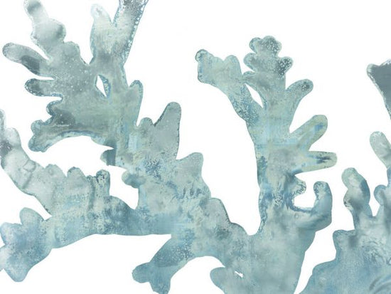 PHOTOWALL / Blue Macro Coral II (e334809)