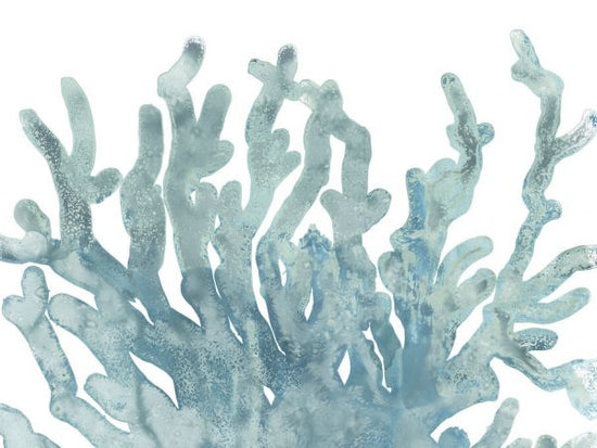 PHOTOWALL / Blue Macro Coral III (e334810)