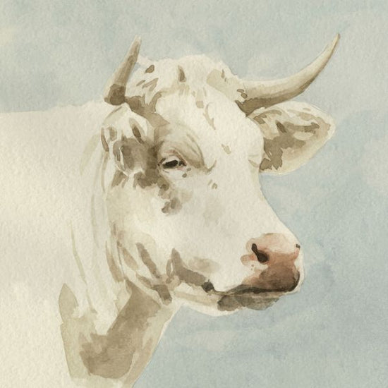 PHOTOWALL / Ferdinand (e334829)