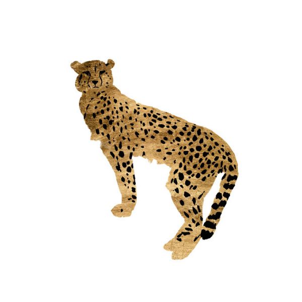 PHOTOWALL / Golden Cheetah (e334983) | 輸入壁紙専門店 WALPA – WALPA.jp