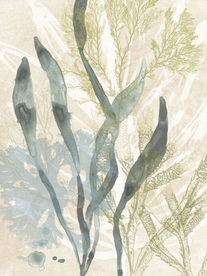 PHOTOWALL / Vintage Ocean Jewels II (e335087)
