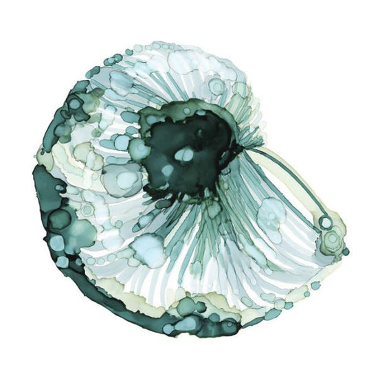 PHOTOWALL / Blue Barnacle (e335130)