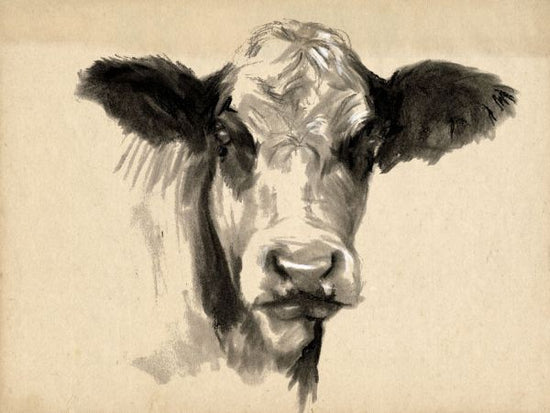 PHOTOWALL / Charcoal Cow II (e335139)