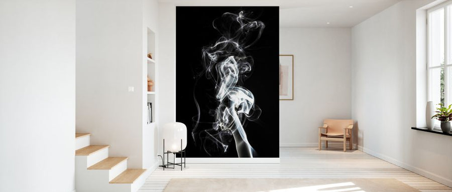 PHOTOWALL / Abstract White Smoke - Seahorse (e335718)