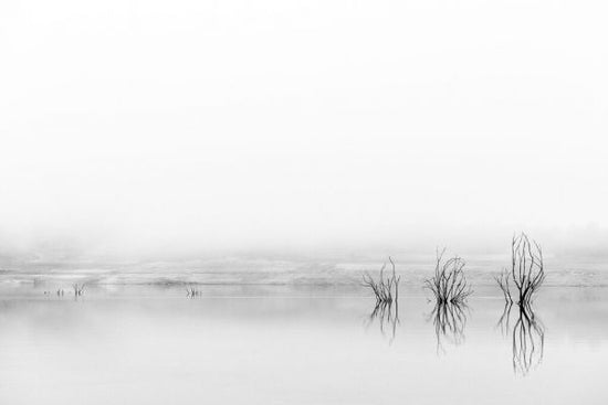 PHOTOWALL / Reflejos En La Niebla (e335647)