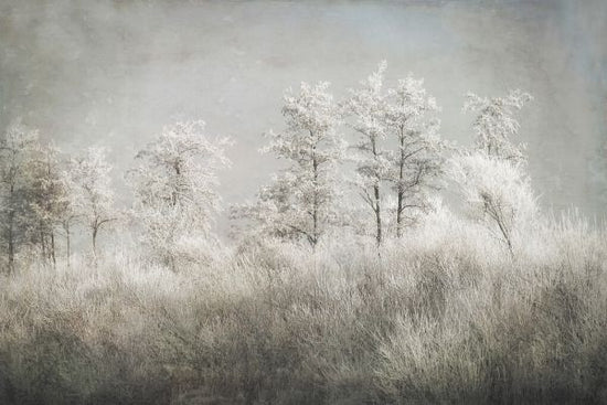 PHOTOWALL / Cold Morning (e335700)