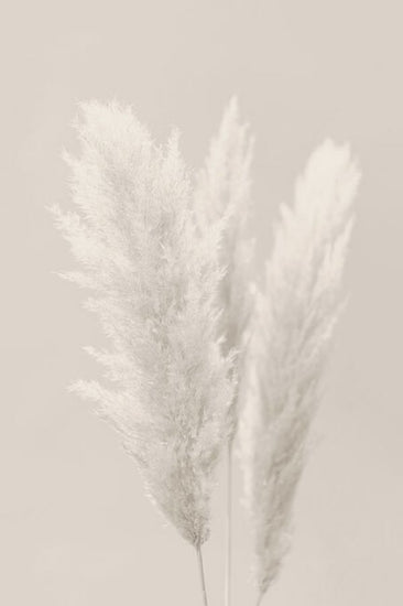 PHOTOWALL / Feather (e336121)