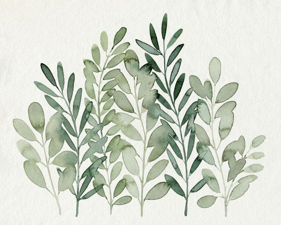 PHOTOWALL / Foraged Greens (e336162)