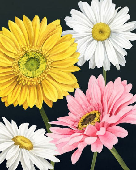 PHOTOWALL / Gerbera Daisy (e336172)