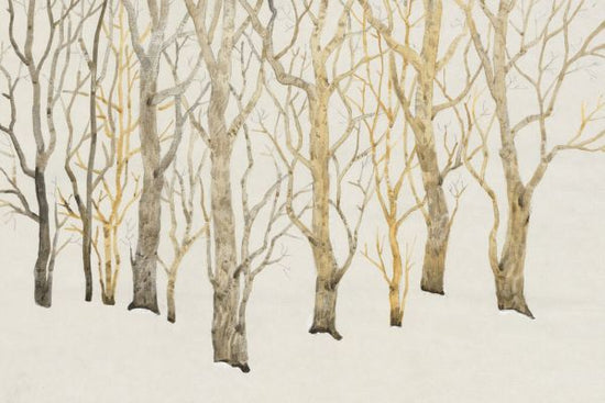 PHOTOWALL / Bare Trees (e336254)