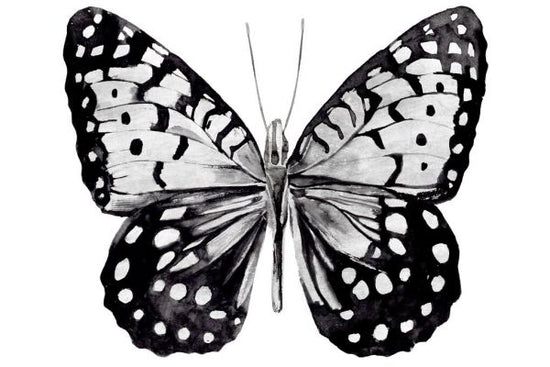 PHOTOWALL / Monochrome Wings Whole (e336439)
