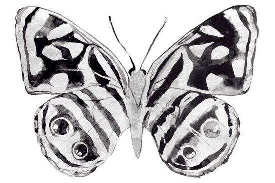 PHOTOWALL / Monochrome Wings Whole II (e336440)