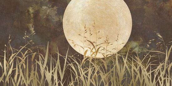 PHOTOWALL / Moonlight Grasses (e336856)