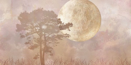 PHOTOWALL / Moonlight PineTree (e336857)