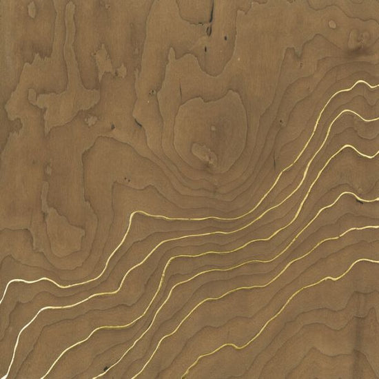 PHOTOWALL / Golden Veneer (e336527)