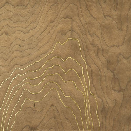 PHOTOWALL / Golden Veneer II (e336528)