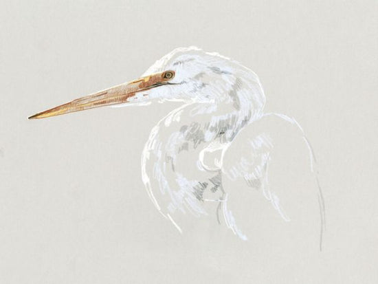PHOTOWALL / Bright Egret Sketch II (e336573)