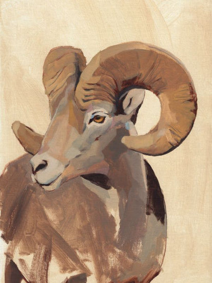 PHOTOWALL / Ochre Ram (e336596)