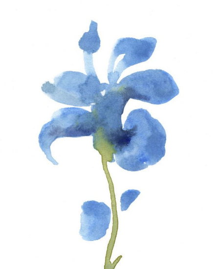 PHOTOWALL / Striking Blue Iris III (e336635)