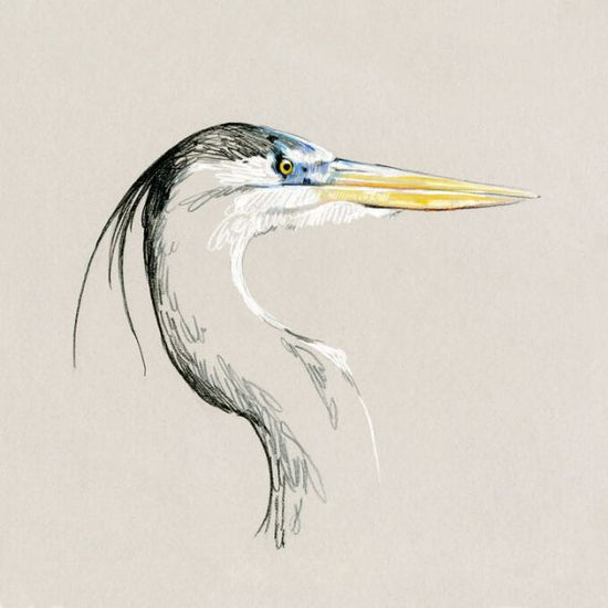 PHOTOWALL / Bright Heron Sketch (e336676)