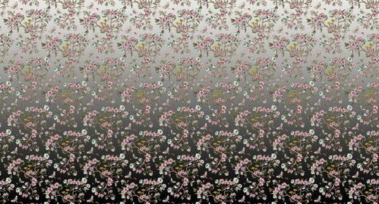 PHOTOWALL / Wagtails Spring - Fade to Black (e337794)
